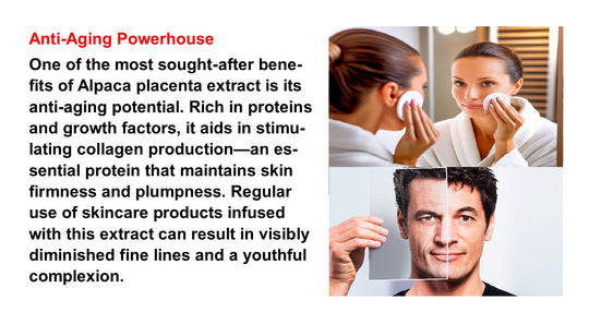 ANTI AGING Alpaca DNA Placenta with Collagen -SUPER PLACENTA COMPLEX - "the tissue of youth" - Made in USA