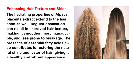 ANTI AGING Alpaca DNA Placenta with Collagen, Vitamin C - Made in USA - 60 capsules