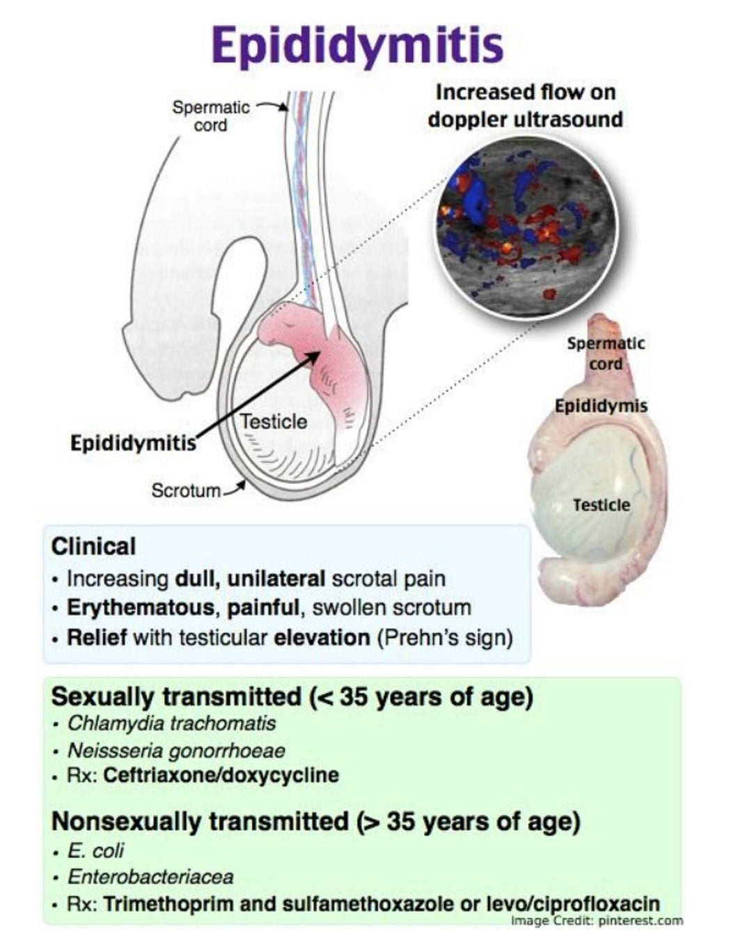 GET RID OF EPIDIDYMAL CYST NATURALLY - ELIMINATE ANY CYST - EPIDIDYMITIS - Made in USA