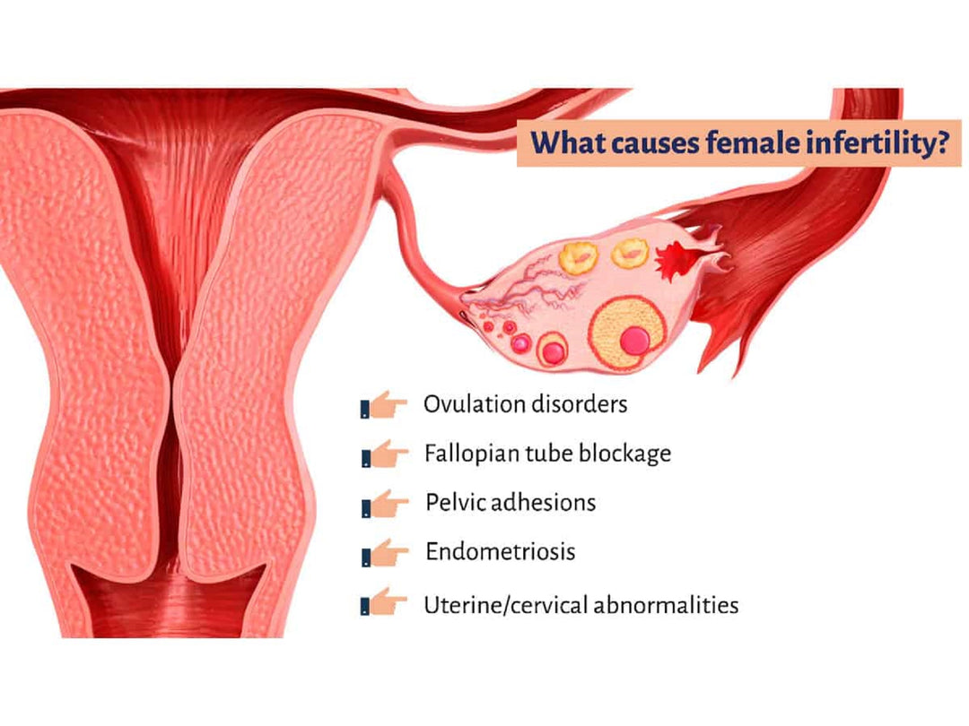 FIX INFERTILITY FOR WOMEN - TO TREAT INFERTILITY FOR WOMEN - GET PREGNANT - MADE IN USA