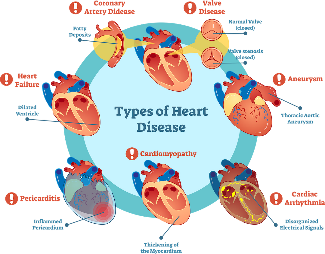 HEALTHY CARDIOVASCULAR HEART SOLUTION- THE BEST HEART FORMULA - 60 GUMMIES - MADE USA