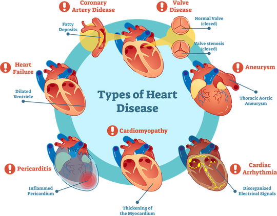 HEALTHY CARDIOVASCULAR HEART SOLUTION- THE BEST HEART FORMULA - 60 GUMMIES - MADE USA