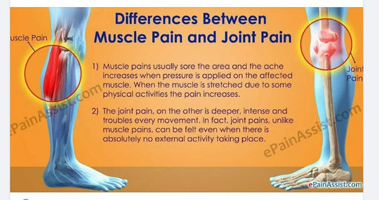 STOP THE JOINT & MUSCLE PAIN FOREVER - STRONG Pain Therapy - Anti-inflammatory -Made in USA