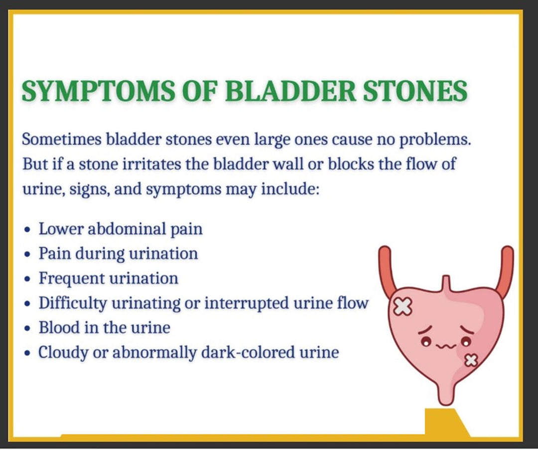 GET RID OF ANY BLADDER & KIDNEY DISEASE - Cleanse, Detox & Repair - ELIMINATE STONES - MADE IN USA