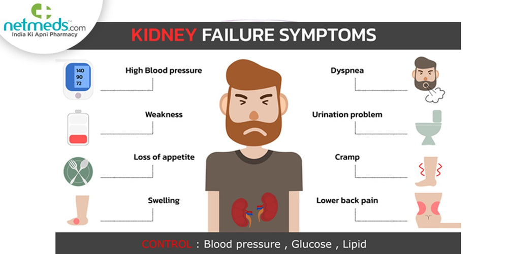 GET RID OF ANY BLADDER & KIDNEY DISEASE - Cleanse, Detox & Repair - ELIMINATE STONES - MADE IN USA