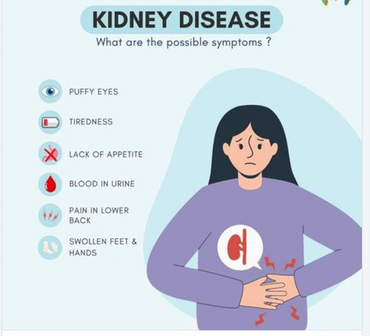 GET RID OF ANY BLADDER & KIDNEY DISEASE - Cleanse, Detox & Repair - ELIMINATE STONES - MADE IN USA