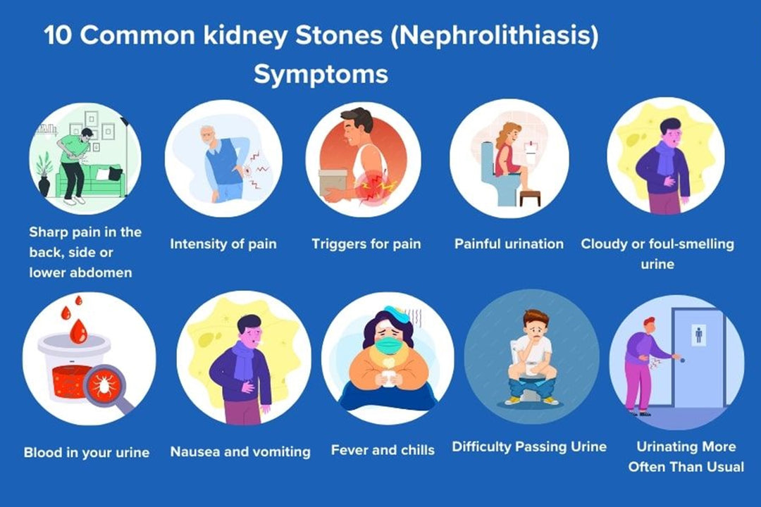 GET RID OF KIDNEY STONES RIGHT NOW - KIDNEY STONE BREAKER - STOP PAIN - Treat & Prevent - MADE IN USA