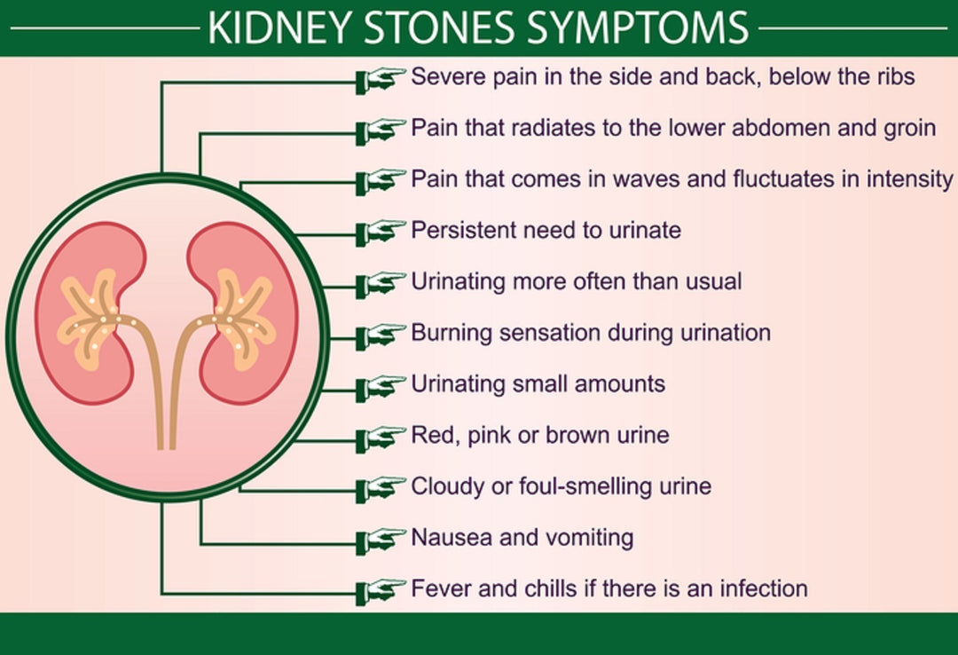 GET RID OF KIDNEY STONES NATURALLY - BEST HERBAL FORMULA TO BREAK KIDNEY STONES - STOP PAIN - MADE IN USA
