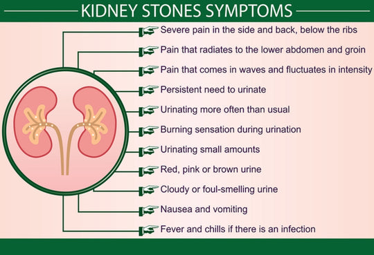 GET RID OF KIDNEY STONES NATURALLY - BEST HERBAL FORMULA TO BREAK KIDNEY STONES - STOP PAIN - MADE IN USA