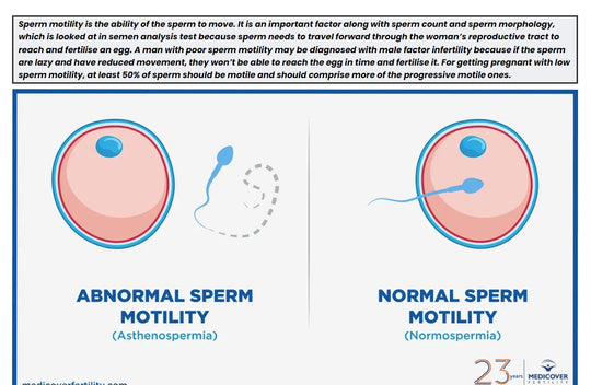 INCREASE SPERM MOTILITY NATURALLY - SPERM MOTILITY BOOSTER - MADE IN USA