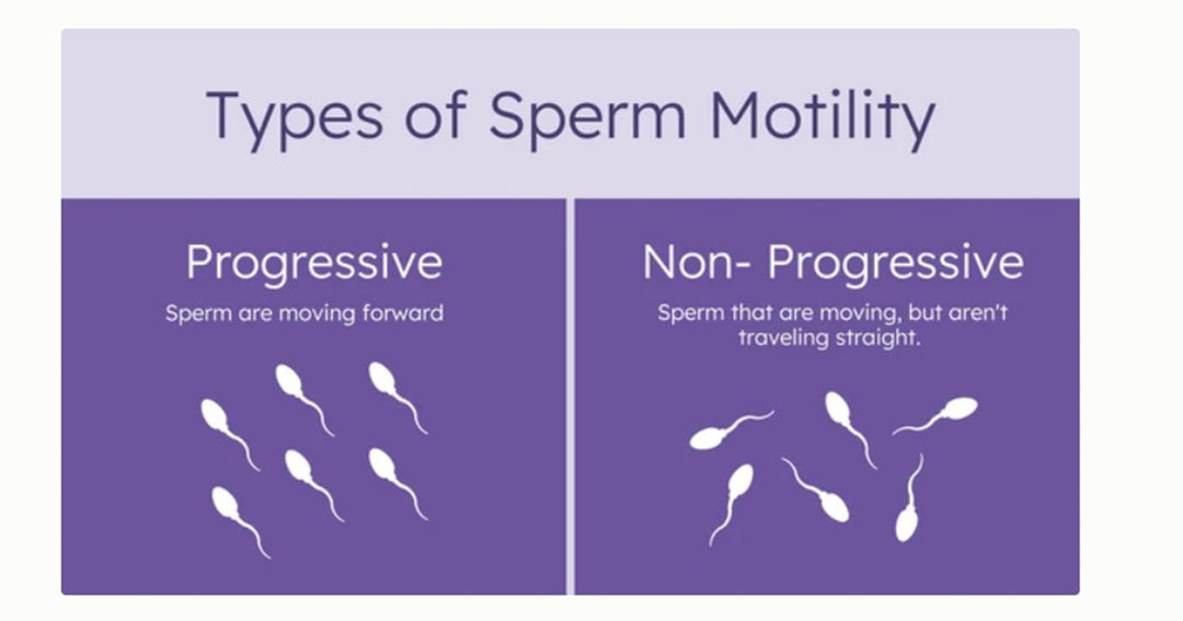 INCREASE SPERM MOTILITY NATURALLY - SPERM MOTILITY BOOSTER - MADE IN USA