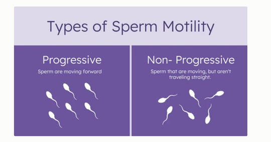 INCREASE SPERM MOTILITY NATURALLY - SPERM MOTILITY BOOSTER - MADE IN USA