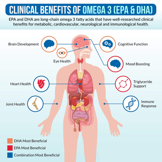 OMEGA 3 ALASKAN FISH OIL - ANTI INFLAMMATORY - BRAIN, HEART HEALTH, JOINT MOBILITY, IMMUNE