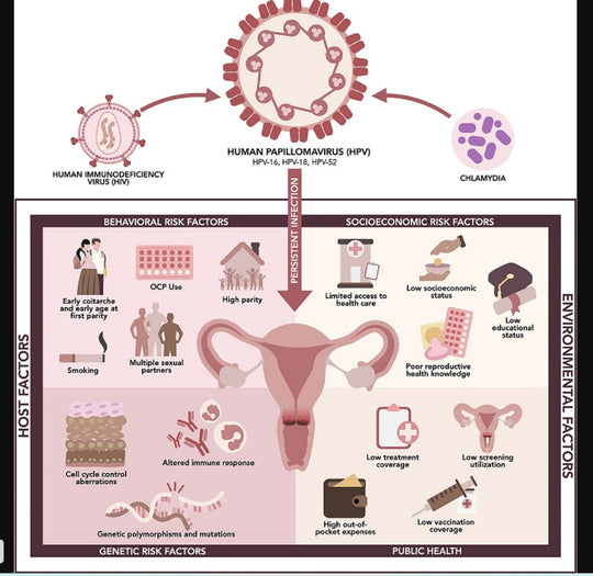 GET RID OF CHLAMYDIA GONORRHEA PAPILLOMA INFECTION -  TREAT & PREVENT - MEN & WOMEN - antibacterial, anti-inflammatory - MADE IN USA