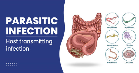 ELIMINATE INTESTINAL PARASITES & WORMS NATURALLY - get rid of intestinal parasites now - MADE IN USA