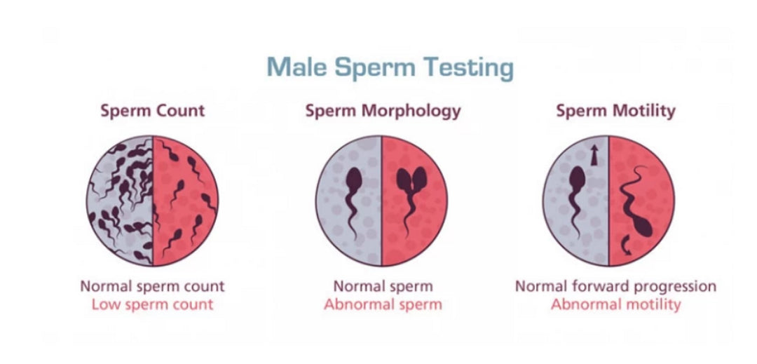 SUPER SPERM BOOSTER - BIG DICK - BIG COCKS - SUER TESTICLES -Increase Sperm Count - Powerful Ejaculations - MADE IN USA