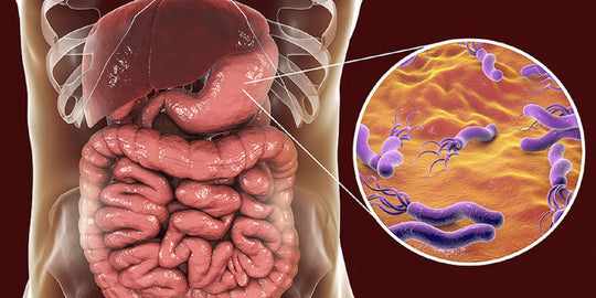 GET RID OF STOMACH BACTERIA NATURALLY - KILL THE BACTERIA H. PYLORI RIGHT AWAY  - Made USA