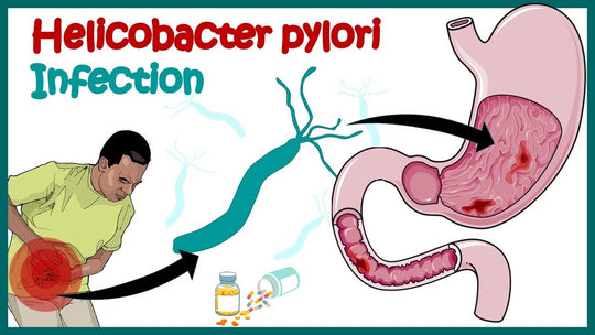 ELIMINATE STOMACH BACTERIA H PYLORI RIGHT AWAY - STRONGEST HERBAL FORMULA - GUMMIES - M ADE IN USA