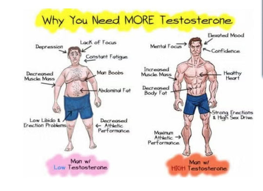 INCREASE HGH & TESTOSTERONE LEVELS - TESTOSTERONE & HGH HORMONES BOOSTER - MADE IN USA