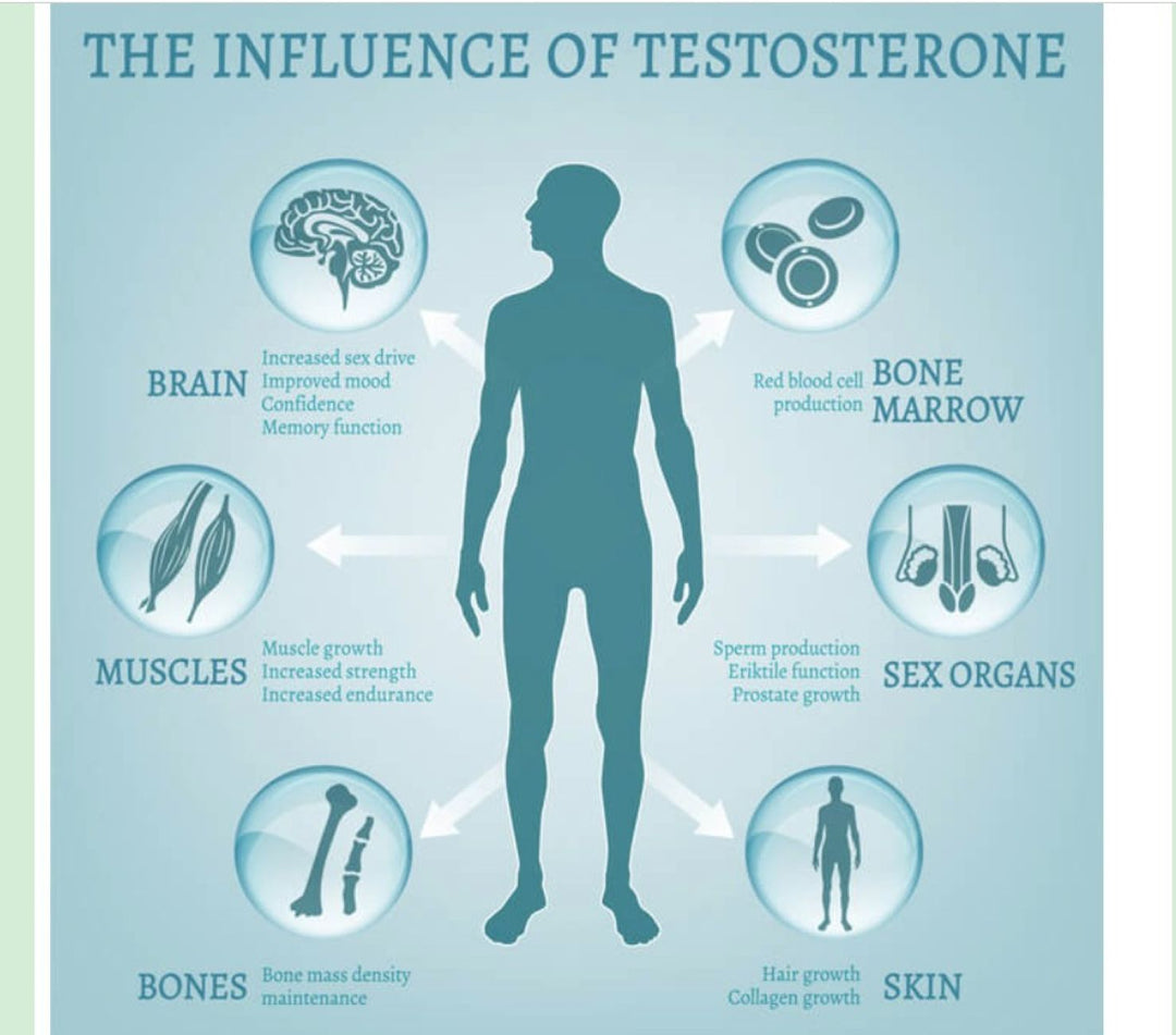 INCREASE HGH & TESTOSTERONE LEVELS - TESTOSTERONE & HGH HORMONES BOOSTER - MADE IN USA