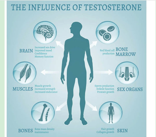 INCREASE HGH & TESTOSTERONE LEVELS - TESTOSTERONE & HGH HORMONES BOOSTER - MADE IN USA