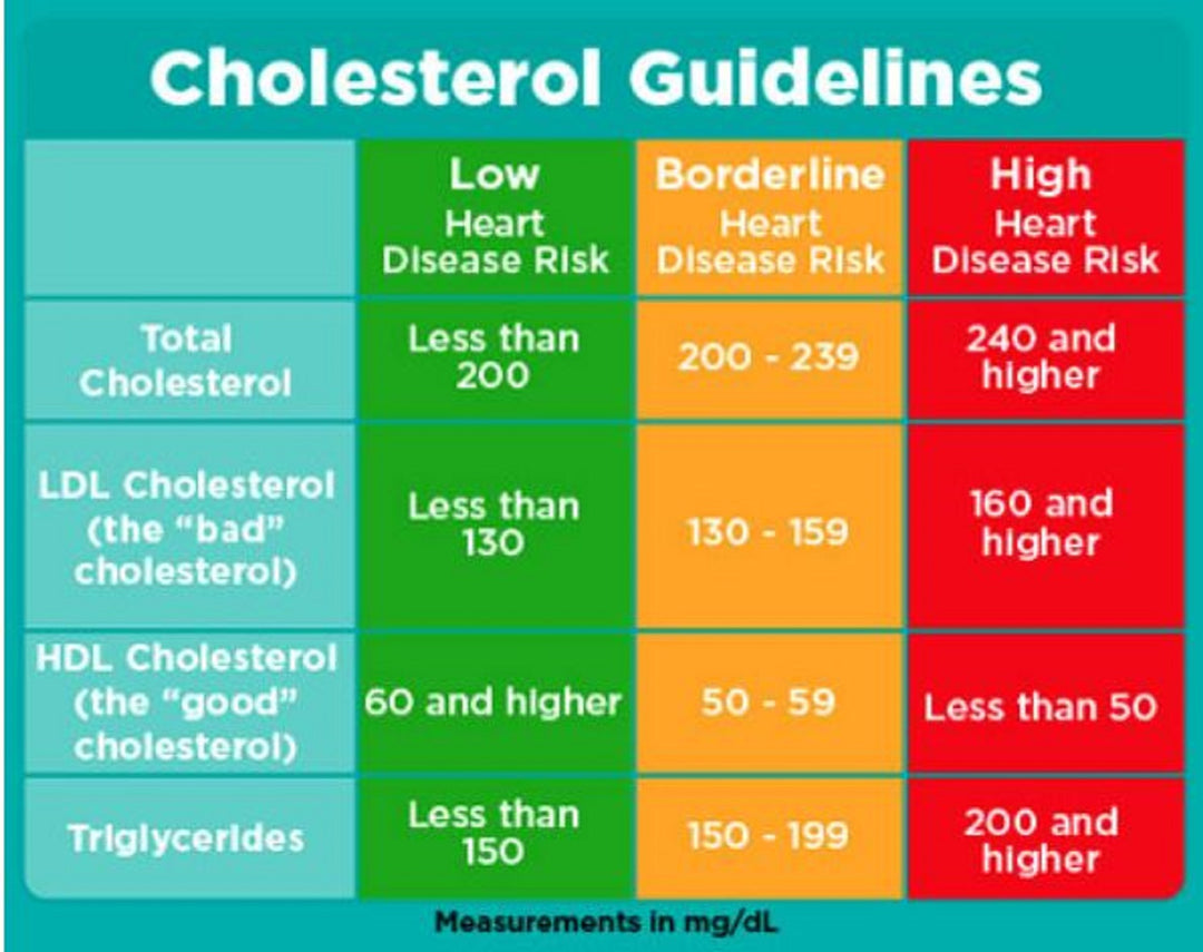 GET RID OF BAD CHOLESTEROL -  REMOVER & FLUSHER ANTIOXIDANT SUPPLEMENT - MADE IN USA