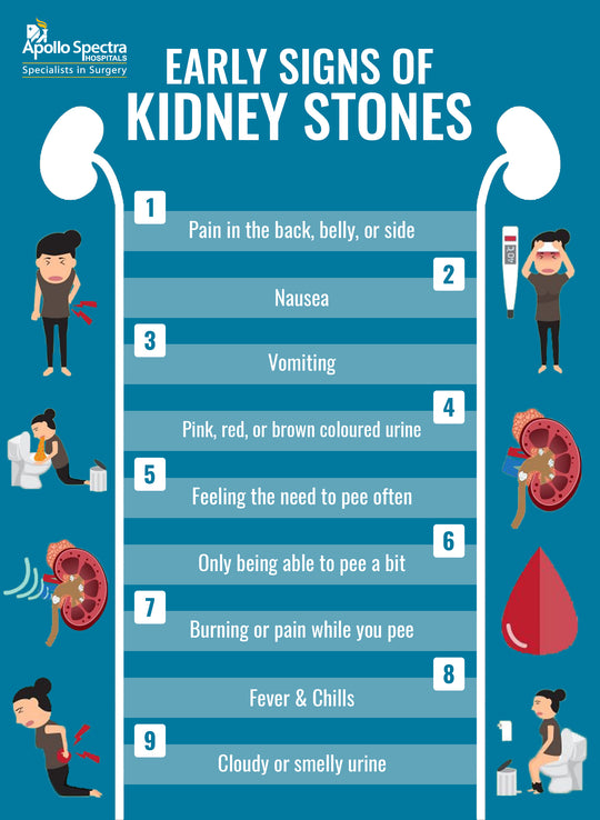 GET RID OF ANY BLADDER & KIDNEY DISEASE - Cleanse, Detox & Repair - ELIMINATE STONES - MADE IN USA