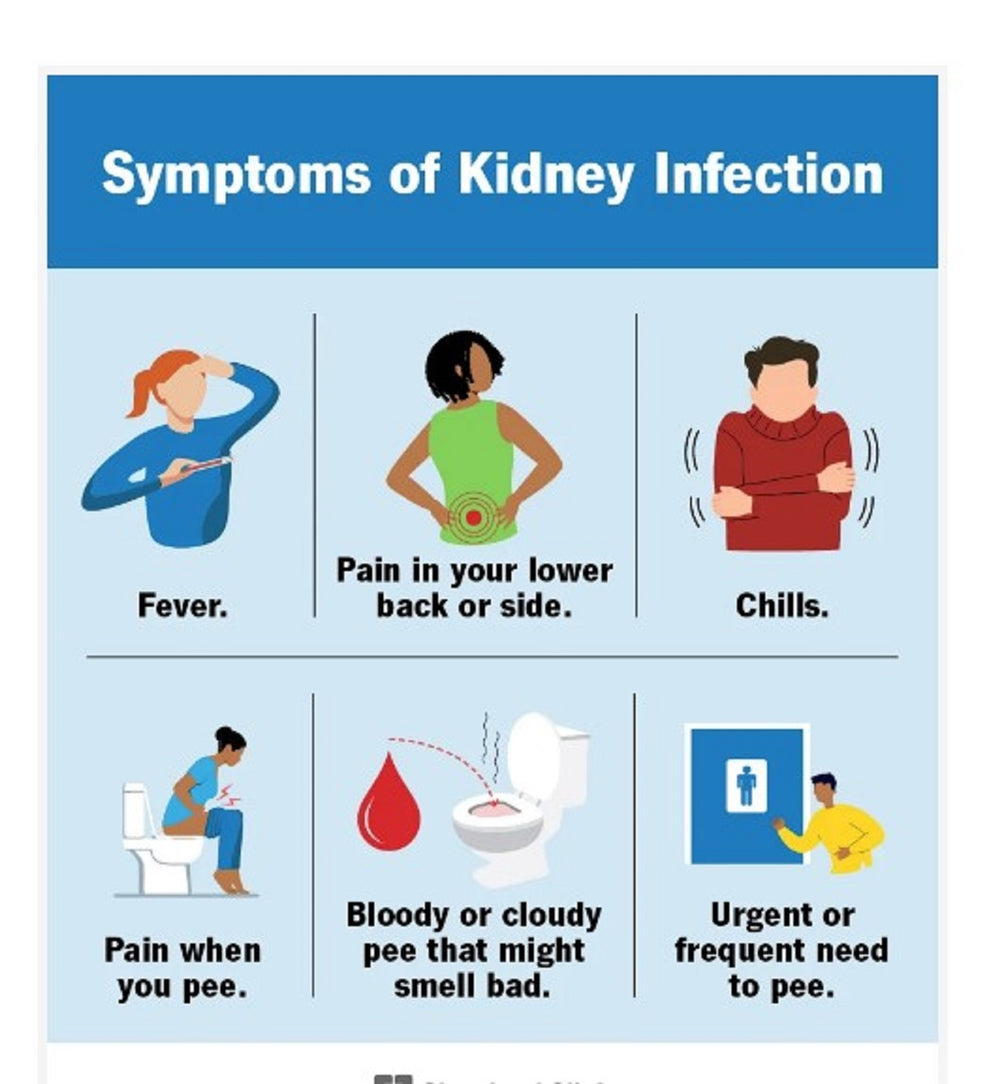 GET RID OF URINARY TRACT INFECTION (UTI) - URINARY BACTERIAL INFECTION KILLER - TREAT & PREVENT - MADE IN USA