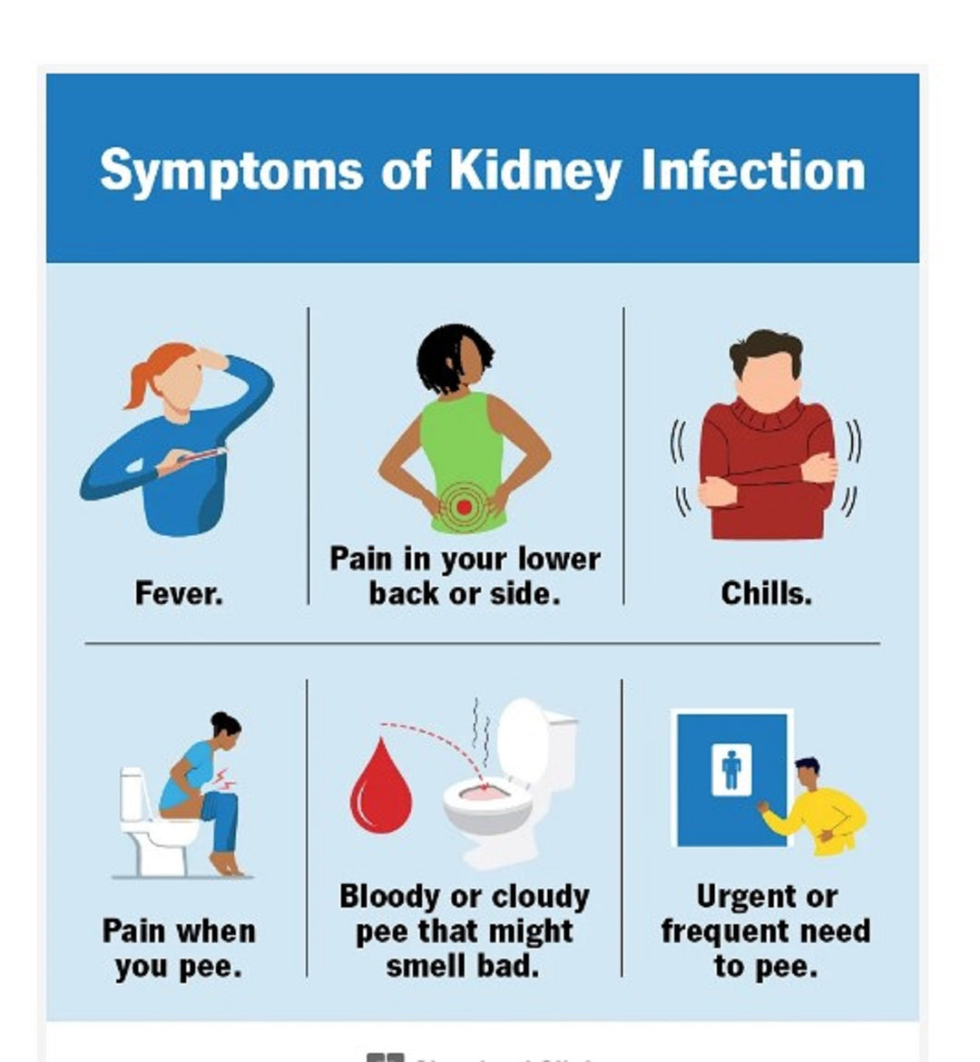 GET RID OF URINARY TRACT INFECTION (UTI) - URINARY BACTERIAL INFECTION KILLER - TREAT & PREVENT - MADE IN USA