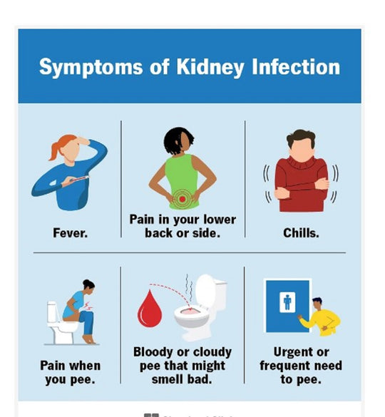 GET RID OF URINARY TRACT INFECTION (UTI) - URINARY BACTERIAL INFECTION KILLER - TREAT & PREVENT - MADE IN USA