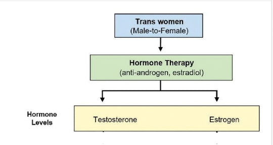 NATURAL CHANGE FROM MALE TO FEMALE - WOMEN HORMONES FOR TRANS - Cross-Sex Hormone - MADE IN USA