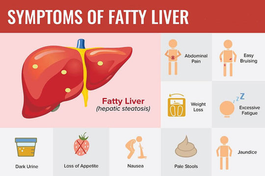 FATTY LIVER -  WOMEN & MEN - to Treat and Prevent