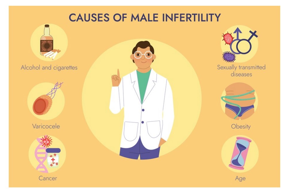 FERTILITY MALE BOOSTER 4 Men - Men Infertility Treatment