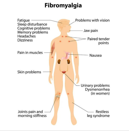 FIBROMYALGIA ESSENTIALS to Treat & Prevent