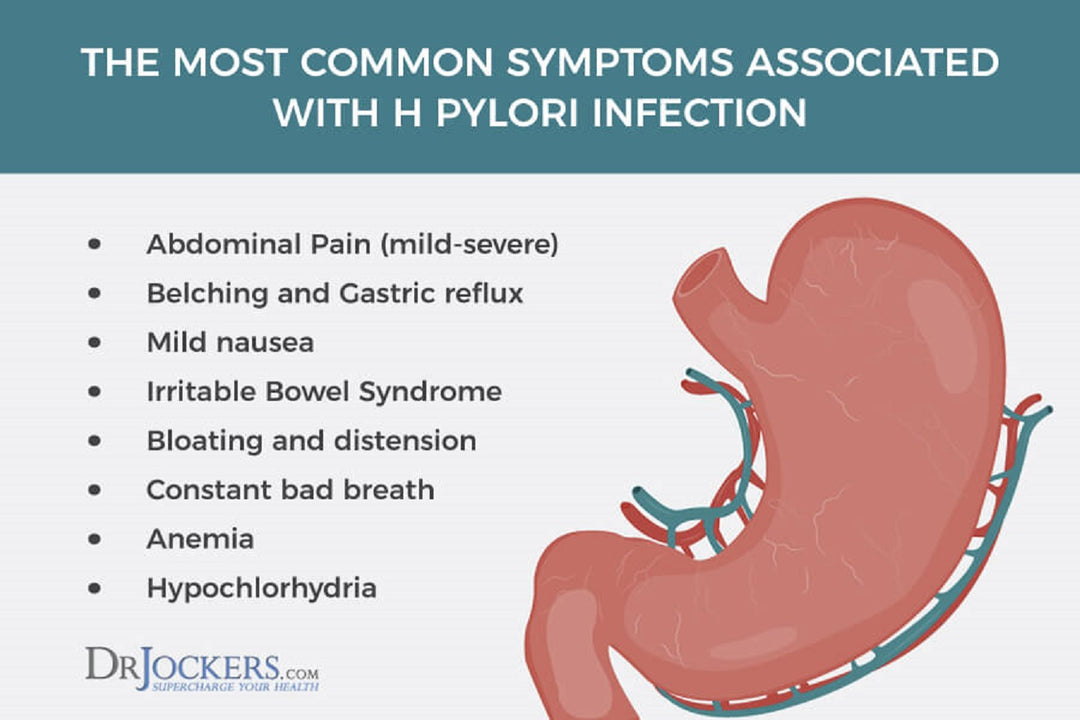 STOMACH BACTERIA - KILL THE BACTERIA H. PYLORI - to Treat and Prevent