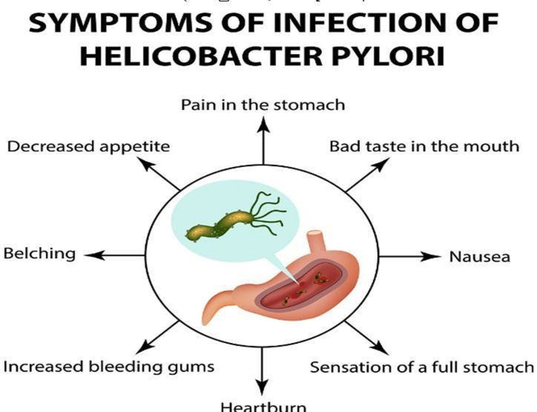 STOMACH BACTERIA - KILL THE BACTERIA H. PYLORI - to Treat and Prevent