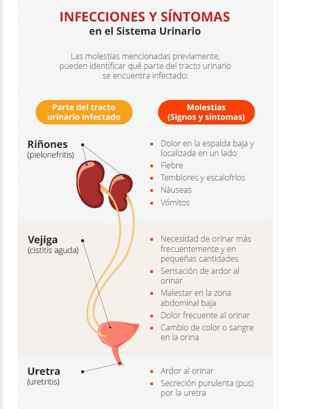 URINARY TRACT INFECTION 4 ME - UTI - MEN & WOMEN - TREAT & PREVENT